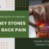 connection between kidney stones and back pain