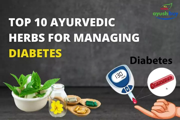 Top 10 Ayurvedic Herbs for Diabetes Management